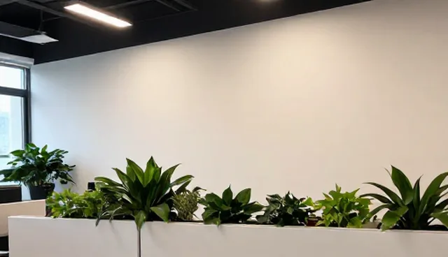 GEO服务商如何选择定制优化方案，对比适用场景差异